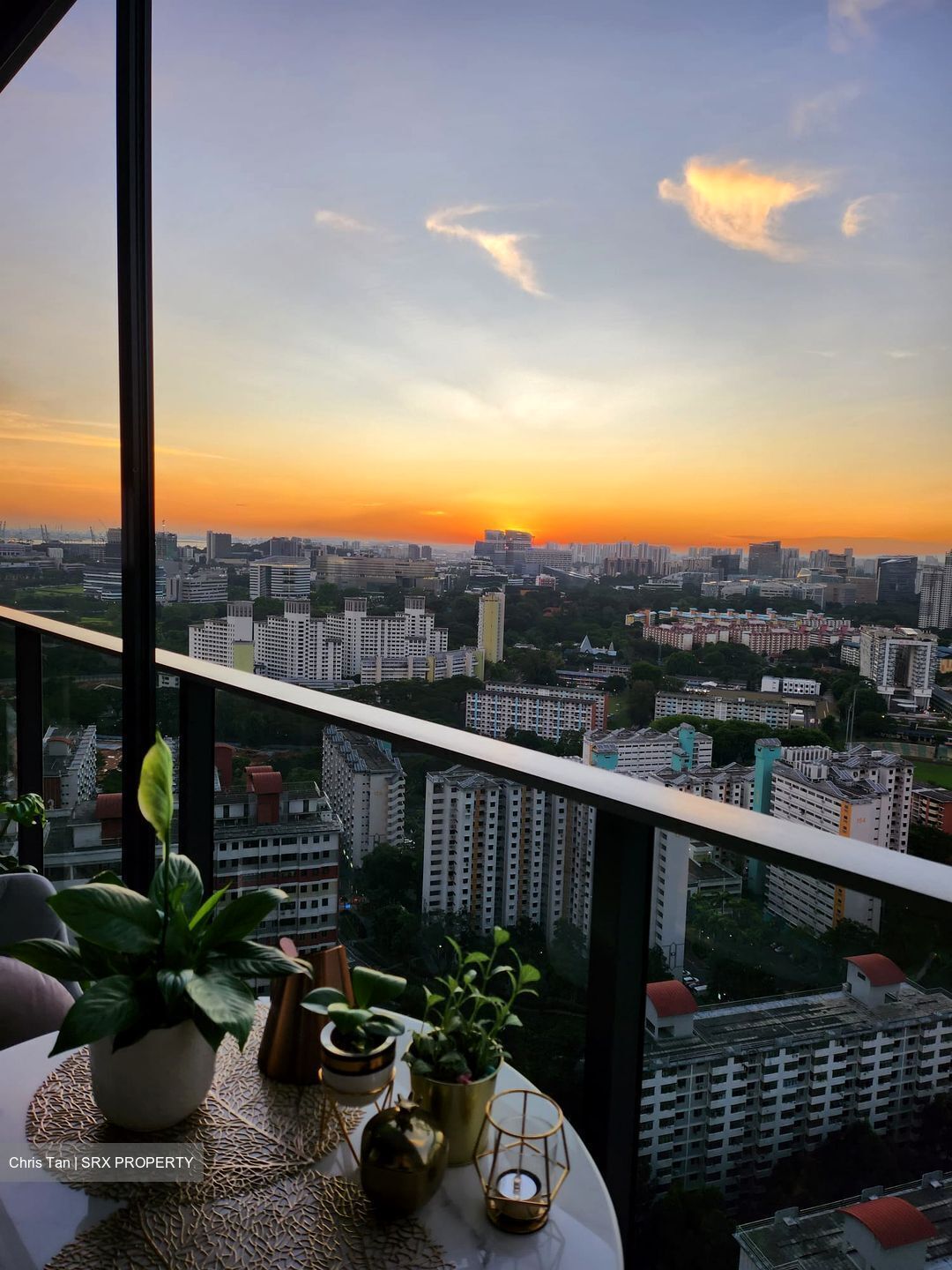 Stirling Residences (D3), Apartment #448674631